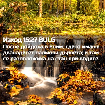 Picture 02 - Изход 15:27 BULG - После дойдоха в Елим, гдето - Bible Verse Picture