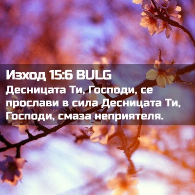 Picture 02 - Изход 15:6 BULG - Десницата Ти, Господи, се - Bible Verse Picture