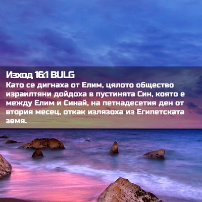 Picture 02 - Изход 16:1 BULG - Като се дигнаха от Елим, - Bible Verse Picture