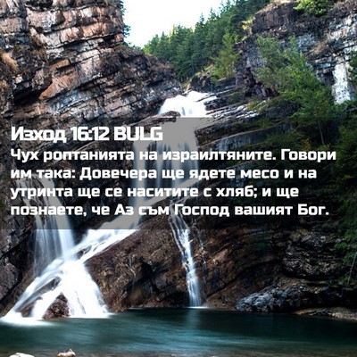 Picture 02 - Изход 16:12 BULG - Чух роптанията на - Bible Verse Picture