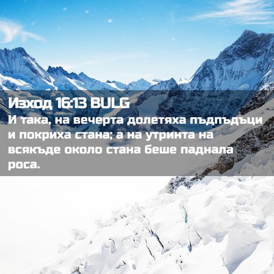 Picture 02 - Изход 16:13 BULG - И така, на вечерта долетяха - Bible Verse Picture