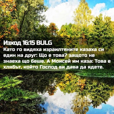 Picture 02 - Изход 16:15 BULG - Като го видяха - Bible Verse Picture