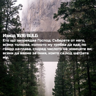 Picture 02 - Изход 16:16 BULG - Ето що заповядва Господ: - Bible Verse Picture
