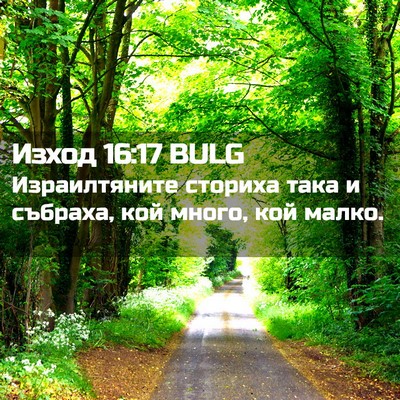 Picture 02 - Изход 16:17 BULG - Израилтяните сториха така - Bible Verse Picture