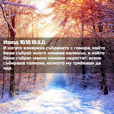 Picture 02 - Изход 16:18 BULG - И когато измериха - Bible Verse Picture