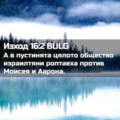 Picture 02 - Изход 16:2 BULG - А в пустинята цялото - Bible Verse Picture