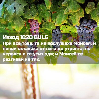 Picture 02 - Изход 16:20 BULG - При все това, те не - Bible Verse Picture