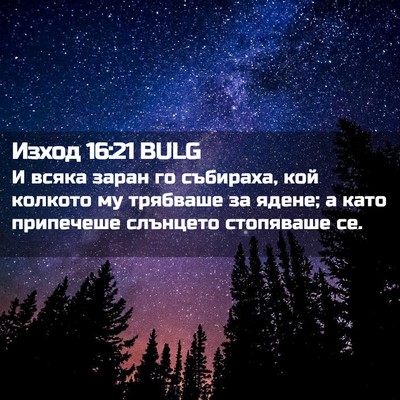 Picture 02 - Изход 16:21 BULG - И всяка заран го събираха, - Bible Verse Picture