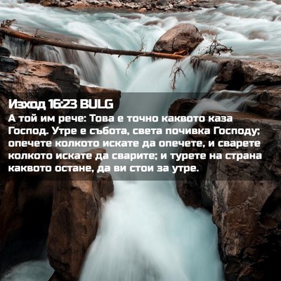 Picture 02 - Изход 16:23 BULG - А той им рече: Това е точно - Bible Verse Picture