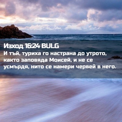 Picture 02 - Изход 16:24 BULG - И тъй, туриха го настрана - Bible Verse Picture