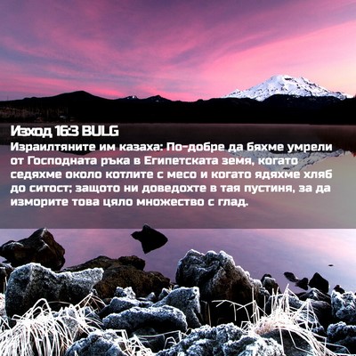 Picture 02 - Изход 16:3 BULG - Израилтяните им казаха: - Bible Verse Picture