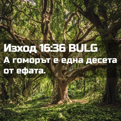 Picture 02 - Изход 16:36 BULG - А гоморът е една десета от - Bible Verse Picture