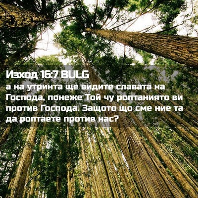 Picture 02 - Изход 16:7 BULG - а на утринта ще видите - Bible Verse Picture
