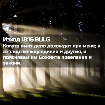 Picture 02 - Изход 18:16 BULG - Когато имат дело дохождат - Bible Verse Picture
