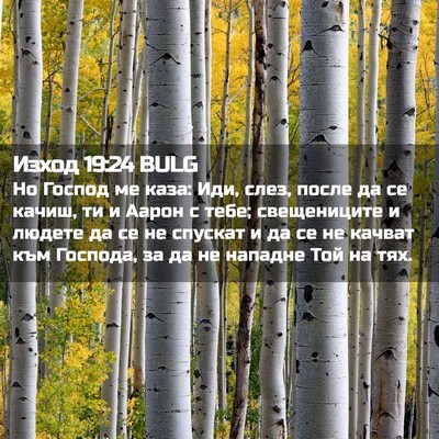 Picture 02 - Изход 19:24 BULG - Но Господ ме каза: Иди, - Bible Verse Picture