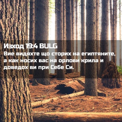 Picture 02 - Изход 19:4 BULG - Вие видяхте що сторих на - Bible Verse Picture