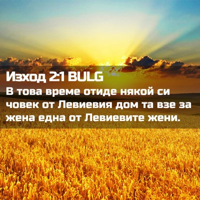Picture 02 - Изход 2:1 BULG - В това време отиде някой си - Bible Verse Picture