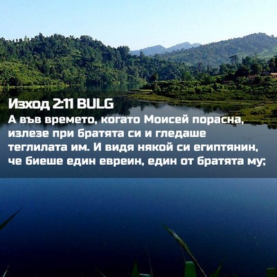 Picture 02 - Изход 2:11 BULG - А във времето, когато - Bible Verse Picture