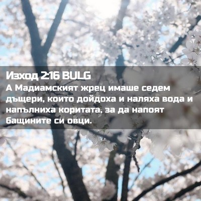 Picture 02 - Изход 2:16 BULG - А Мадиамският жрец имаше - Bible Verse Picture