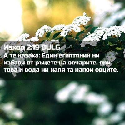 Picture 02 - Изход 2:19 BULG - А те казаха: Един египтянин - Bible Verse Picture