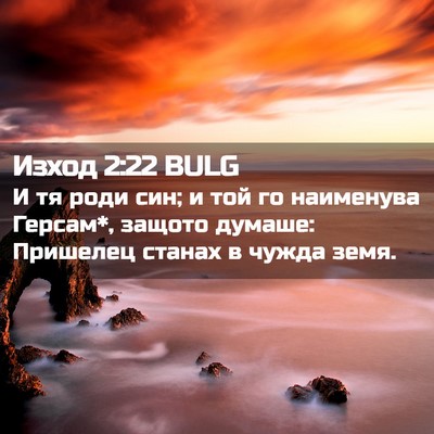 Picture 02 - Изход 2:22 BULG - И тя роди син; и той го - Bible Verse Picture