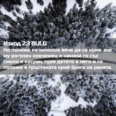 Picture 02 - Изход 2:3 BULG - Но понеже не можеше вече да - Bible Verse Picture