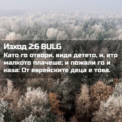 Picture 02 - Изход 2:6 BULG - Като го отвори, видя - Bible Verse Picture