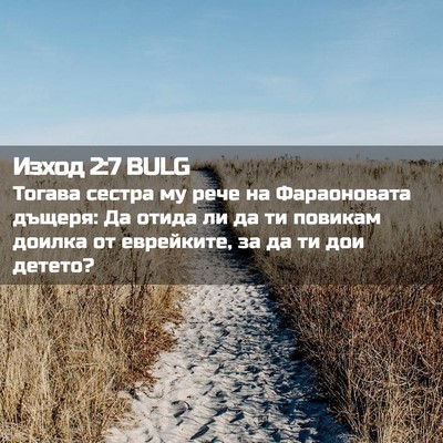 Picture 02 - Изход 2:7 BULG - Тогава сестра му рече на - Bible Verse Picture