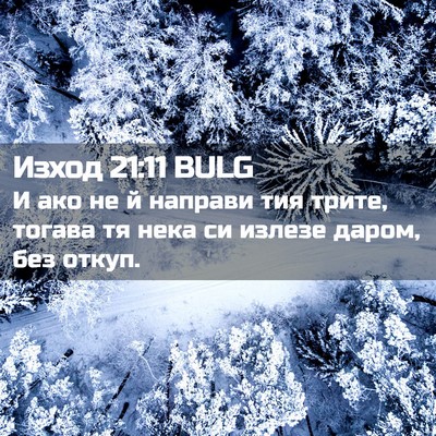Picture 02 - Изход 21:11 BULG - И ако не й направи тия - Bible Verse Picture
