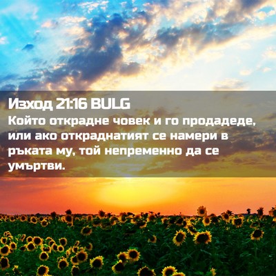 Picture 02 - Изход 21:16 BULG - Който открадне човек и го - Bible Verse Picture