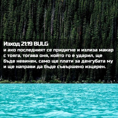 Picture 02 - Изход 21:19 BULG - и ако последният се - Bible Verse Picture