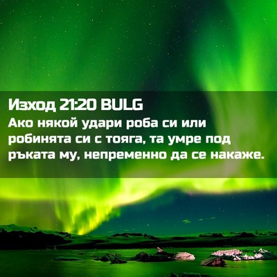 Picture 02 - Изход 21:20 BULG - Ако някой удари роба си или - Bible Verse Picture