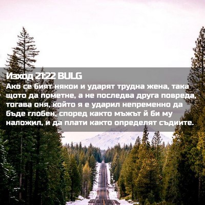 Picture 02 - Изход 21:22 BULG - Ако се бият някои и ударят - Bible Verse Picture