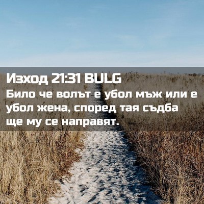 Picture 02 - Изход 21:31 BULG - Било че волът е убол мъж - Bible Verse Picture
