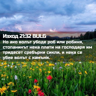 Picture 02 - Изход 21:32 BULG - Но ако волът убоде роб или - Bible Verse Picture
