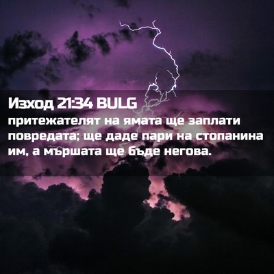 Picture 02 - Изход 21:34 BULG - притежателят на ямата ще - Bible Verse Picture