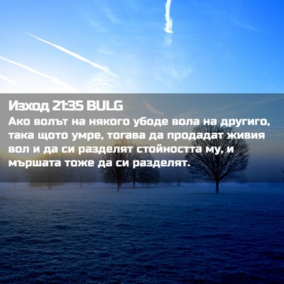 Picture 02 - Изход 21:35 BULG - Ако волът на някого убоде - Bible Verse Picture