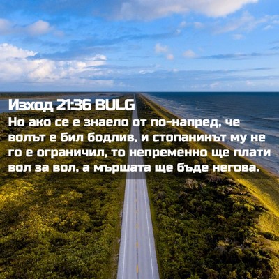 Picture 02 - Изход 21:36 BULG - Но ако се е знаело от - Bible Verse Picture