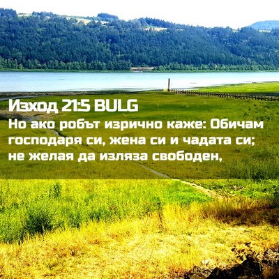 Picture 02 - Изход 21:5 BULG - Но ако робът изрично каже: - Bible Verse Picture