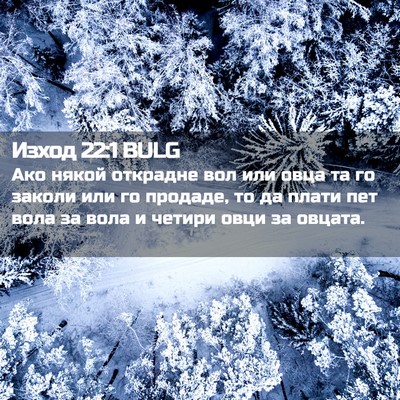 Picture 02 - Изход 22:1 BULG - Ако някой открадне вол или - Bible Verse Picture