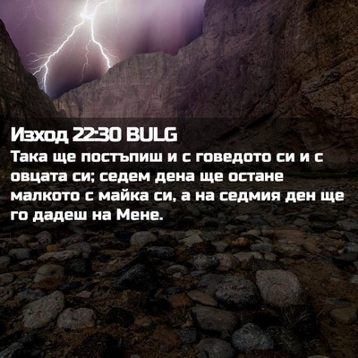 Picture 02 - Изход 22:30 BULG - Така ще постъпиш и с - Bible Verse Picture