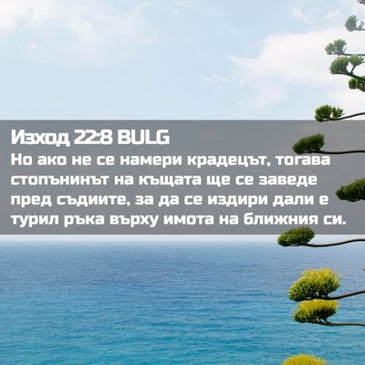 Picture 02 - Изход 22:8 BULG - Но ако не се намери - Bible Verse Picture