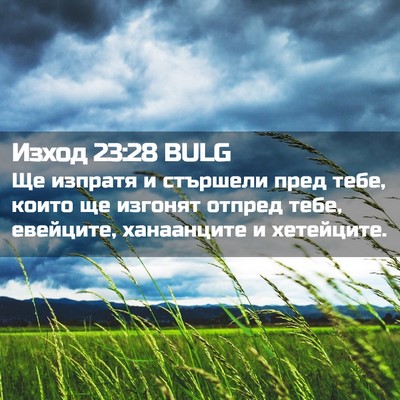 Picture 02 - Изход 23:28 BULG - Ще изпратя и стършели пред - Bible Verse Picture