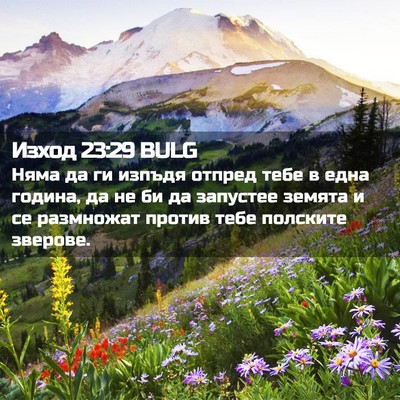 Picture 02 - Изход 23:29 BULG - Няма да ги изпъдя отпред - Bible Verse Picture