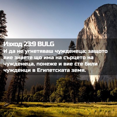 Picture 02 - Изход 23:9 BULG - И да не угнетяваш - Bible Verse Picture