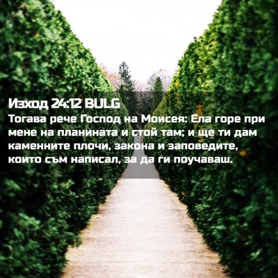 Picture 02 - Изход 24:12 BULG - Тогава рече Господ на - Bible Verse Picture
