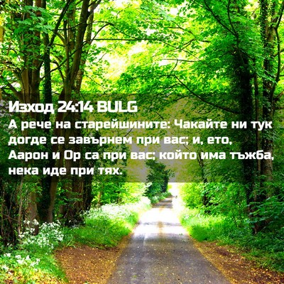 Picture 02 - Изход 24:14 BULG - А рече на старейшините: - Bible Verse Picture