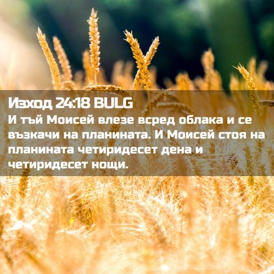 Picture 02 - Изход 24:18 BULG - И тъй Моисей влезе всред - Bible Verse Picture