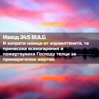 Picture 02 - Изход 24:5 BULG - И изпрати момци от - Bible Verse Picture