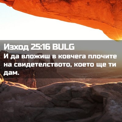Picture 02 - Изход 25:16 BULG - И да вложиш в ковчега - Bible Verse Picture